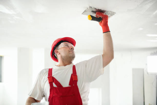 Trusted Basalt, CO Drywall & Painting Services Experts